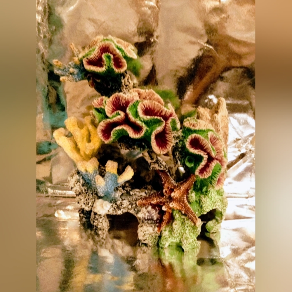 Large aquarium coral decor.